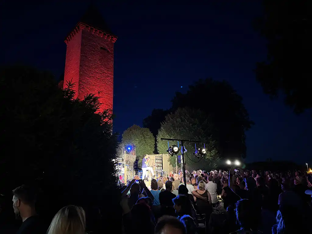 Les jeudis du château de la Sarraz - Photo 29