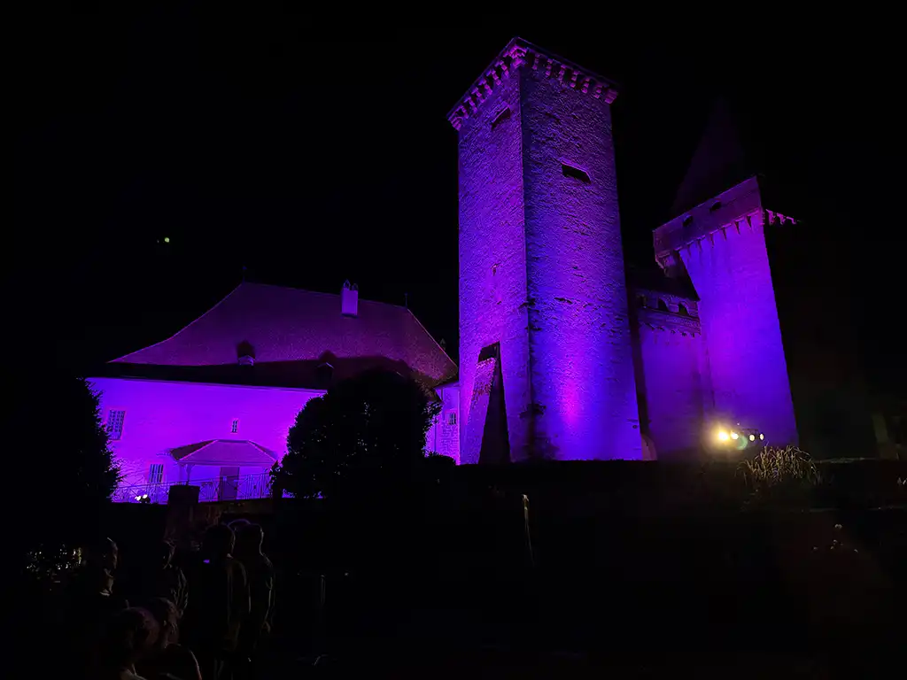 Les jeudis du château de la Sarraz - Photo 35